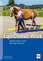 Michae Geitner, Michael Geitner, Alexandra Schmid - EquiClassic-Work
