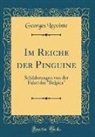 Georges Lecointe - Im Reiche der Pinguine