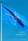 Uw Hartmann, Uwe Hartmann - NATO's Adaptation
