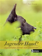 Florin Hirnschall - Jagender Hund?