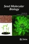 Carlos Tello Lacal - Seed Molecular Biology
