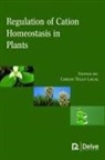 Carlos Tello Lacal - Regulation of Cation Homeostasis in Plants