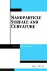 Abhishek Gupta - Nanoparticle Surface and Curvature