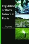Carlos Tello Lacal - Regulation of Water Balance in Plants