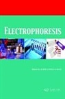 Jurex Cuenca Gallo - Electrophoresis