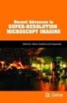 Aleksei Anatoliyovych Stepanenko - Recent Advances in Super-Resolution Microscopy Imaging