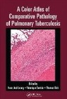 Franz Joel Leong, Franz Joel (Novartis Institute for Tropical Leong, Franz Joel Dartois Leong, Veronique Dartois, Dartois Veronique, Thomas Dick... - Color Atlas of Comparative Pathology of Pulmonary Tuberculosis