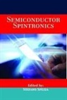 Stefano Spezia - Semiconductor Spintronics