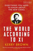 Kerry Brown - The World According to Xi