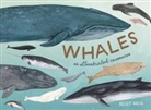 Kelsey Oseid - Whales