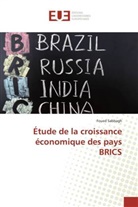 Foued Sabbagh - Étude de la croissance économique des pays BRICS
