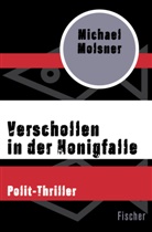 Michael Molsner - Verschollen in der Honigfalle