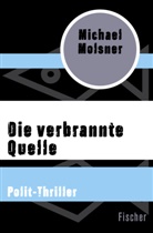 Michael Molsner - Die verbrannte Quelle