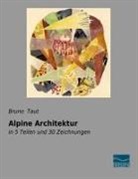 Bruno Taut - Alpine Architektur