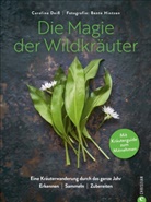Caroline Deiß, Bente Hintzen - Die Magie der Wildkräuter