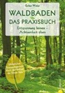 Esther Winter, Ingolf Hatz, Julia Ruby Hildebrand - Waldbaden - Das Praxisbuch