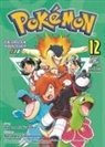 Hidenori Kusaka, Satoshi Yamamoto - Pokémon - Die ersten Abenteuer 12. Bd.12
