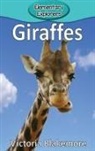 Victoria Blakemore - Giraffes
