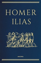 Homer, Johann Heinrich Voß - Homer, Ilias