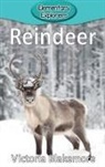 Victoria Blakemore - Reindeer
