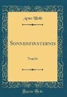 Arno Holz - Sonnenfinsternis