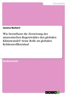 Jessica Burkert - Wie beeinflusst die Zerstörung des amazonischen Regenwaldes den globalen Klimawandel? Seine Rolle im globalen Kohlenstoffkreislauf