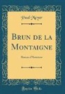 Paul Meyer - Brun de la Montaigne