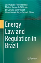 Caetano Xavier Junio, José Augusto Fontoura Costa, Vivian Daniele Rocha Gabriel, Marild Rosado de Sá Ribeiro, Marilda Rosado de Sá Ribeiro, Ely Caetano Xavier Junior - Energy Law and Regulation in Brazil