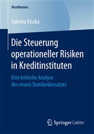 Sabrina Kiszka - Die Steuerung operationeller Risiken in Kreditinstituten