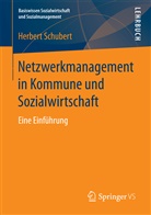 Herbert Schubert - Netzwerkmanagement in Kommune und Sozialwirtschaft