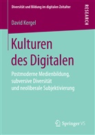 David Kergel - Kulturen des Digitalen