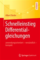 Albert Fässler - Schnelleinstieg Differentialgleichungen
