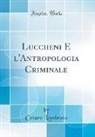 Cesare Lombroso - Luccheni E l'Antropologia Criminale (Classic Reprint)