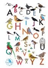 Stuart Cox, I Like Birds - I Like Birds: An Alphabet of Birds Address Book