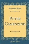 Hermann Hesse - Peter Camenzind (Classic Reprint)