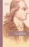 Herman Grimm - Goethe