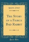 Beatrix Potter - The Story of a Fierce Bad Rabbit (Classic Reprint)