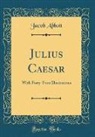 Jacob Abbott - Julius Caesar