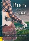 Tagan Shepard - Bird on a Wire