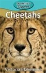 Victoria Blakemore - Cheetahs