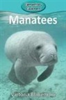 Victoria Blakemore - Manatees