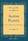 W. A. Clark - Alpine Plants