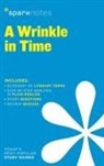 SparkNotes, SparkNotes (COR) - A Wrinkle in Time Sparknotes Literature Guide