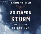 Samme Chittum - Southern Storm: The Tragedy of Flight 242 (Audiolibro)