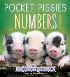 Richard Austin, Richard Austin - Pocket Piggies Numbers!