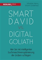 Sebastian Petrov, Vincen Sünderhauf, Vincent Sünderhauf - Smart David vs Digital Goliath