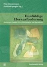 Prof. DDr. Lieselotte Ahnert, Joana Is Baptista, Gottfried Spangler, Prof. Dr. Spangler, Prof. Dr. Gottfried Spangler, Spangler (Prof Dr)... - Feinfühlige Herausforderung