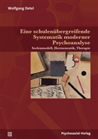 Wolfgang Detel - Eine schulenübergreifende Systematik moderner Psychoanalyse