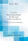 J. Barbosa Rodrigues - Plantae Mattogrossenses, Ou Relação de Plantas Novas