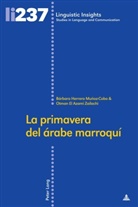 Otm El Azami Zailachi, Otma El Azami Zailachi, Otman El Azami Zailachi, Otman El Azami Zalachi, Bárba Herrero Muñoz-Cobo, Bárbar Herrero Muñoz-Cobo... - La primavera del árabe marroquí